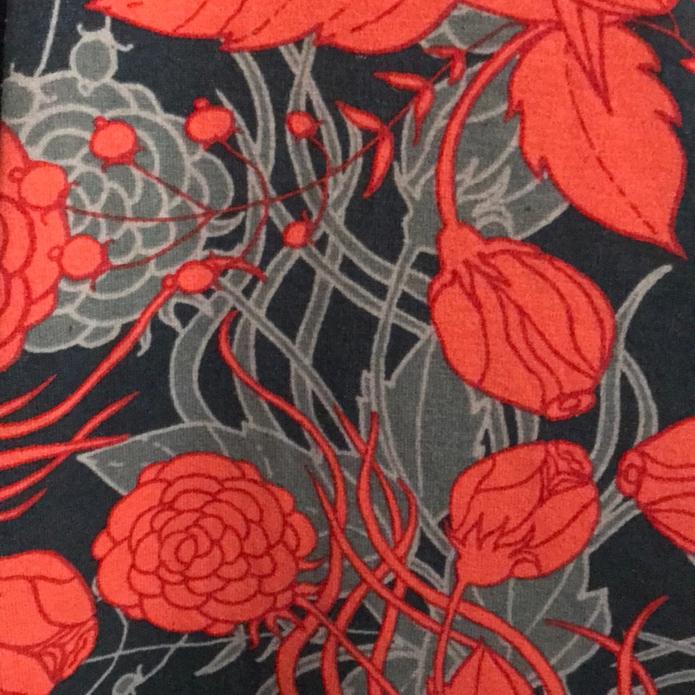 Beautiful Lularoe Sara